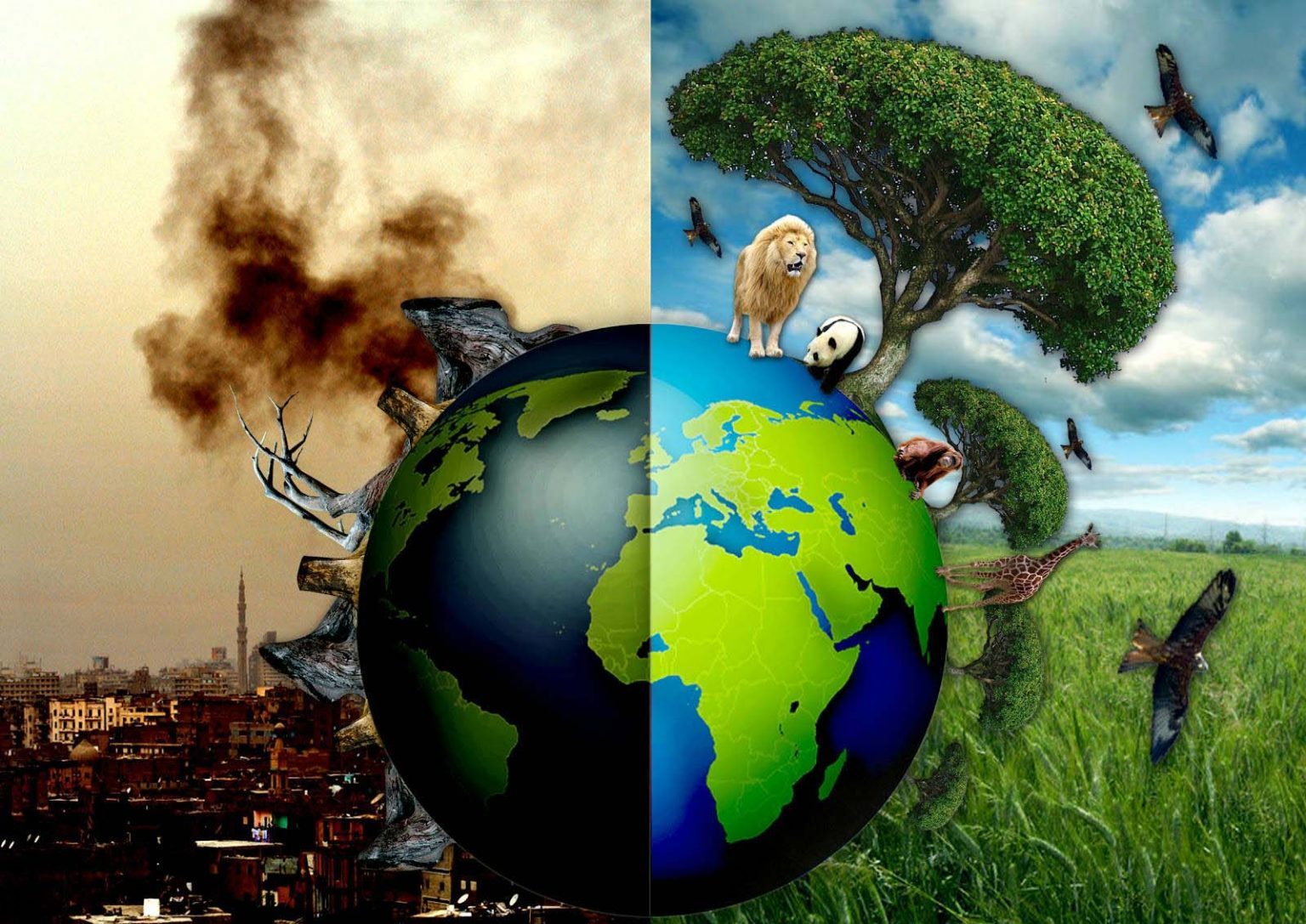 Quan trắc môi trường tránh được nguy cơ gây ô nhiễm hay suy thoái môi trường